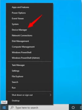 Device Manager section